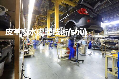 皮革廢水處理技術(shù)：革新環(huán)保，重塑清潔未來(lái)！